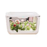 Buy cheap Vegetables Crops LED NFT Indoor Hydroponic Systems product