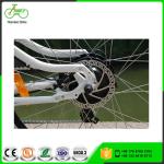 Aluminum Alloy Frame 36V Electric Mountain Bike With 8Fun Motor Kettle Battery