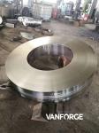 SS Alloy Steel Open Die Forgings Seamless Rolled Ring , Rolled Steel Rings