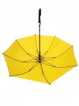 Auto Open Close Umbrella Fiberglass Shaft for Competition