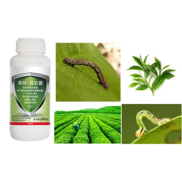 Buy cheap Tea Plant Organically Approved Pesticides Chemical Spray EoNPV Nuclear Polyhedrosis Virus from wholesalers