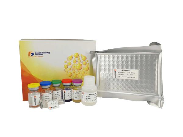 Buy cheap 96 Wells Mouse Elisa Kit , High Precision / Sensitive Resistin Elisa Kit E0263mo from wholesalers