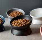 Single Raised Dog Feeder Raised Ceramic Dog Bowls