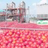 Buy cheap Stainless Steel Tomato Paste Processing Plant For Tomato Sauce Production Process from wholesalers