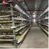 Buy cheap Automatic Poultry Broiler Chicken Cage Baby H Type Chick Cages from wholesalers