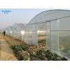 Buy cheap Large Tunnel Ground Polyethylene Film Greenhouse Customized For Tomato from wholesalers