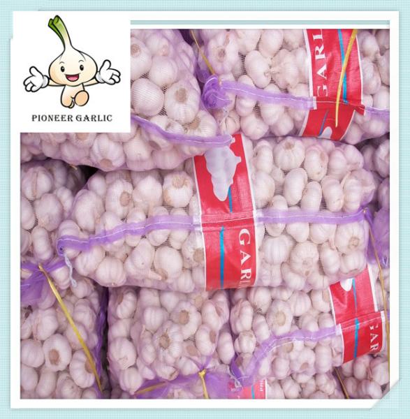 Buy cheap High Quality Wholesale Price Fresh Natural Organic Garlic 2015 fresh white garlic exporter from wholesalers