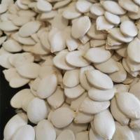 Buy cheap Moisture 7%max Top Grade Snow White Pumpkin Heads for Your Requirements product