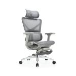 Full Mesh Ergonomic Office Furniture Stainless Steel Chair with Footrest in