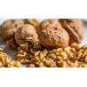 Buy cheap Walnut Chinan Manufacturer Xin2 walnut In shell Best Price Delicious Light Brown Top Grade Amazon’s best-selling products from wholesalers