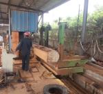 42'' Log wood cutting Vertical band bandsaw saw mill machine with electric