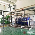 Horizontal 1000kw Generator Set Waste Heat Boiler