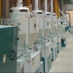 2TPH Automatic Complete Set Rice Mill Plant Project