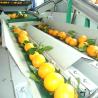 Buy cheap Stainless Steel Vegetables Fruit Processing Equipment With Spiral Conveyors from wholesalers