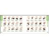 Buy cheap Standard Automotive Voltage Regulator 24V IC022 631731A 546R529 1830029 from wholesalers