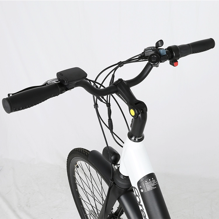 36V 250W Lady City Electric Bicycle 28 Inch 7 Speed E Bike For Charging Time 3 Hours