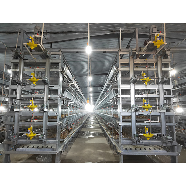 Q235 H Type Automatic Baby Chicks Cage For Layers Pullet Cage Day Old Chicks Cage
