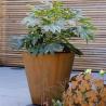 Buy cheap Outdoor Garden Metal Flower Pots Tapered Cylinder Corten Steel Conical Planters from wholesalers