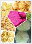 Food Fruit Vegtable Home Freeze Drying Equipment With SUS304 Tank