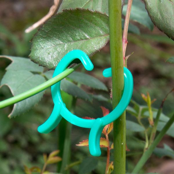 Buy cheap Garden 3cm Ring PE Plant Stake Twist Plastic Clip Connector from wholesalers