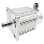 AVG Car Bldc Motor 1200 Watt 310v 5.4 A 18N 9.5Kg 110BL165-620