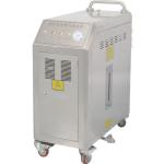 Mobile Portable Steam Car Washing Machine 24KW For Carpet Kitchen Floor