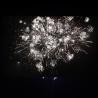 Buy cheap Chinese Fireworks Liuyang 46 Shots Consumer Cake Fireworks from wholesalers