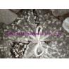 Buy cheap Wet Scrubber Random 316l Pall Ring Packing 2 Inch from wholesalers