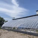 Arched Roof Sunlight Greenhouse for Vegetable Production Seeding US 20/Square