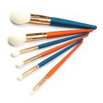 Skin Friendly 6pcs Facial Makeup Brushes Easy Powder Absorbtion