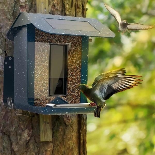 Buy cheap Plastic Outdoor Smart Bird Feeder Camera 2 Megapixel 400mAh Solor Panel from wholesalers
