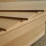 1/4 Modern Design Black Plywood Sheet Lightweight Poplar Hardwood Combi 680