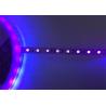 Buy cheap Purple UV 12v 24v Purple Led Light Strip 395nm UV Led Tape 5050 Smd from wholesalers
