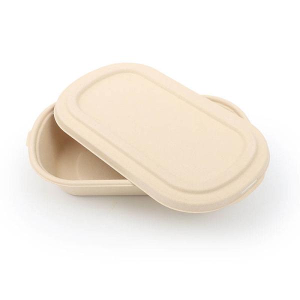 Biodegradable Take Out Food Container Compost 850ml Bamboo Pulp Food Lunch Box