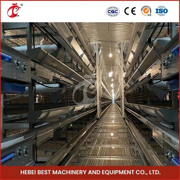 Buy cheap 12 Cells Layer Battery Cage System For Commercial Chicken Farm Rose from wholesalers