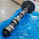 Camshaft 04152513 04150696 02238070 0415 2513 0415 0696 0223 8070 4152513