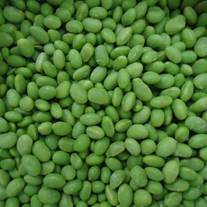Buy cheap IQF Frozen Soybeans Vegetables Peeled Soybean Frozen Edamame No Pods from wholesalers