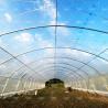 Buy cheap High-Performance PE Film Tunnel Greenhouse for Agricultural Projects from wholesalers