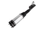 A2203202338 Mercedes Benz Air Suspension Parts Rear Strut Shock Absorber S Class