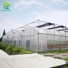 Buy cheap Plastic Film Agricultural High Quality Galvanized Pipe Multi-span Greenhouse from wholesalers