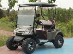 2 Person Golf Cart Buggy 25-40Mph Electric Power Lithium Battery Low Price