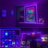 Buy cheap LED Strip Light 5V 8mm 120LEDs Purple One Cut Electroplate for Your Requirements from wholesalers