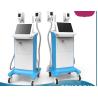 Buy cheap Cryopolysis beauty equipment vacuum slimming fat freezing machine from wholesalers