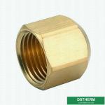 Buy cheap 45 Degrees Brass Angle Flare Fitting Female Threaded Pipe Plug Pipe Fittings For Gas Pipe Fittings from wholesalers