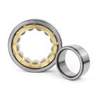 NJ200 Series Single Row Roller Bearing NJ220 NJ222 NJ226 Cylindrical Roller