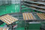 Bread Screw Spiral Conveyor for The Bakery