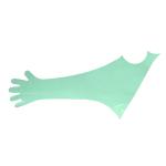 Veterinary Using Green PE Disposable Long Arm Gloves For Wearing Around Neck