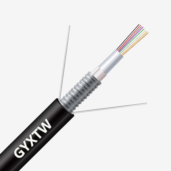 Custom Length HXCOWO GYXTW G652D 2/4/6/8/12/24/24/48/96 Core Armoured Fiber