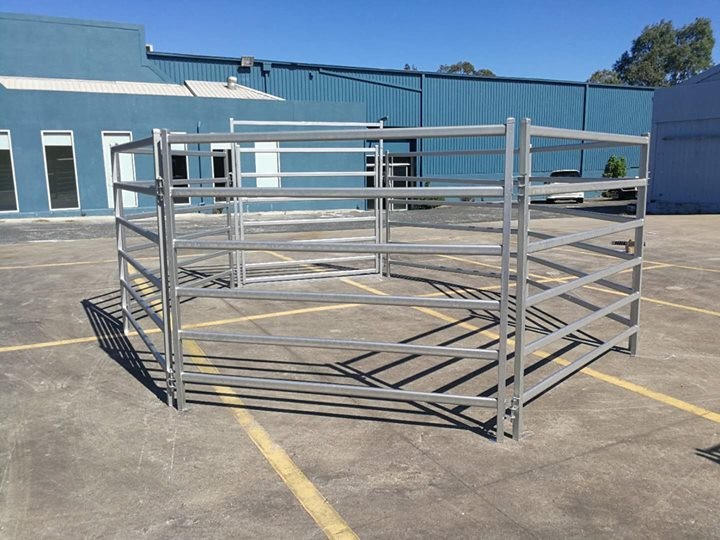 Horse Round Yard panel inc gate Livestock Cattle Sheep Oval Rail holding yard