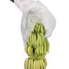 Buy cheap 17gram Agriculture Non Woven Cover UV Nonwoven Banana Bags Cutting 100pcs Per Plastic Bag from wholesalers